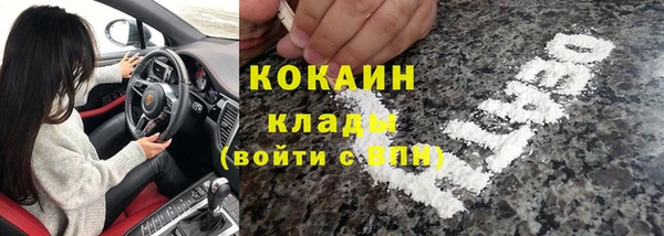 ГАЛЛЮЦИНОГЕННЫЕ ГРИБЫ Алексин