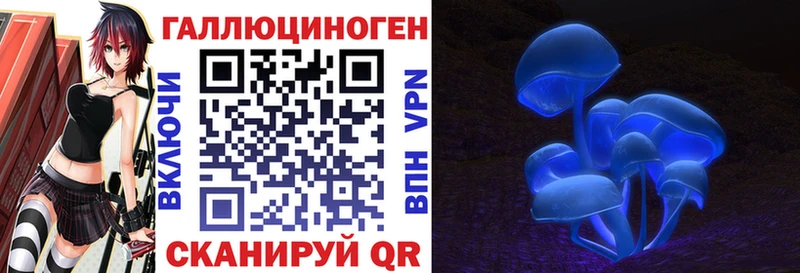 Галлюциногенные грибы Psilocybe  что такое   Анива 